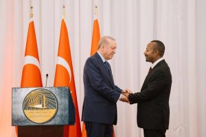 Read more about the article Balballoomii Miidiyaalee Addunyaa: Daawwannaa Seena-Qabeessa Gaaffiin Ulaa Galaanaa Itti Dhiyaate