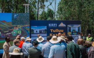 Read more about the article MM Abiyyi Ahimad warsha Doolaara Miiliyoona 300fi miiliyoona 30’n hojjetu hojii eegalchiisan