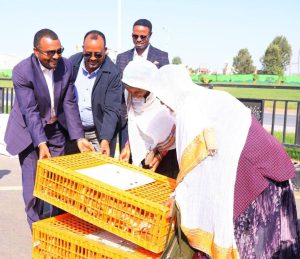 Read more about the article Hiyyummaa Irratti Misoomaan Duuluun Injifannoo Adawaa 2ffaa Galmeessuu Qabna – Obbo Mogos Baalchaa