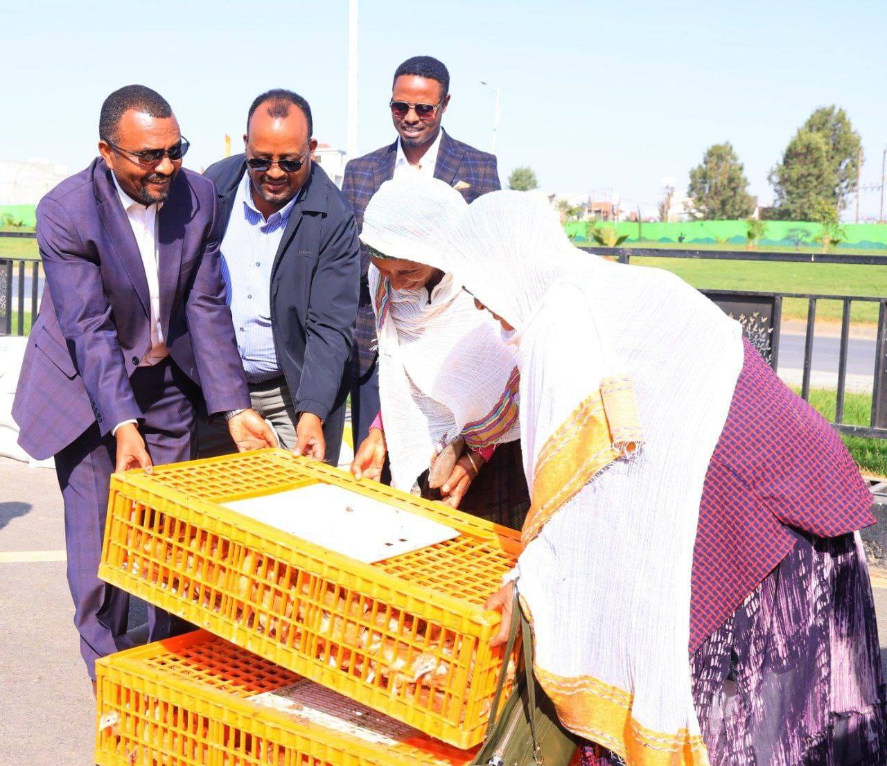 You are currently viewing Hiyyummaa Irratti Misoomaan Duuluun Injifannoo Adawaa 2ffaa Galmeessuu Qabna – Obbo Mogos Baalchaa