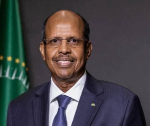 Read more about the article Adwaan ibsituu birmadummaafi kabaja Afrikaati – Komishinara Gamtaa Afrikaa