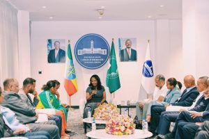 Read more about the article Miila fagoo imale, dhibeen gandatti deebiste, gootittii Komaandar Atileet Geexee Urgeetiin Buchiinsi Magaalaa Finfinnee maal jedhe?