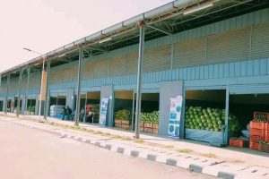 Read more about the article Misoomni Koridarii Sirna Daldalaa Magaalattii Jijjiireera – Ministira Muummee Abiyyi Ahimad (PhD)