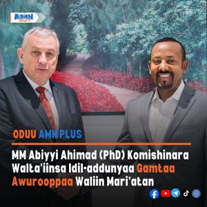 Read more about the article MM Abiyyi Ahimad Komishinara Walta’iinsa Idil Addunyaa Gamtaa Awurooppaa waliin Mari’atan