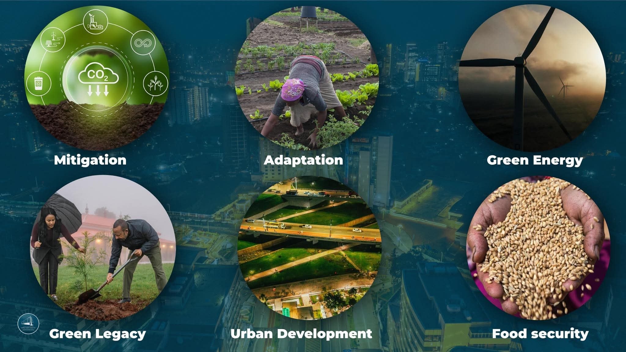 You are currently viewing Itoophiyaan dhaloota dhufuuf guddina waaraa fi magariisa ta’eef bu’uura buusaa jirti- Waajjira Ministira Muummee