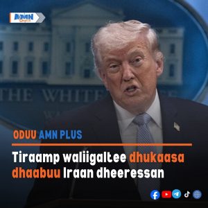 Read more about the article Tiraamp waliigaltee dhukaasa dhaabuu Iraan dheeressan