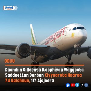 Read more about the article Daandiin Qilleensa Itoophiyaa waggoota saddeettan darban xiyyaarota haaraa 74 galchuun, 117 ammoo ajajeera