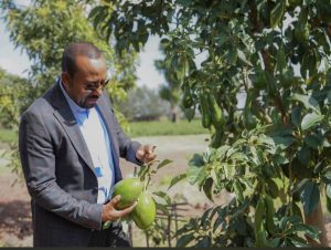 Read more about the article Tarsiimoon lammiilee Itoophiyaa hirkattummaarraa bilisa baasuuf bocame bu’aa buusaa jira – TKM