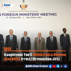 Read more about the article Yaa’iin Ministiroota Dhimma Alaa miseensota BRICS Hindiitti gaggeeffamaa jira