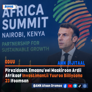 Read more about the article Pirezidaant Emaanu’eel Maakiroon Afrikaaf Invastimantii Yuuroo Biiliyoona 23 Ifa Taasisan