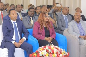 Read more about the article Itoophiyaan sirna teeknoloojii haaraa odeeffannoo sobaafi haasaa jibbiinsaatti adaba godhu ifoomsite