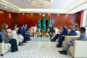 Read more about the article Tumsa Itoophiyaafi Gamtaa Afrikaa cimsuuf kutannoon hojjenna – Ambaasaaddar Lamlam Fissahaa