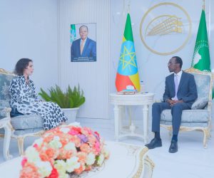 Read more about the article Ministirri Dhimma Alaa Geediyoon Ximootiwoos (Dr.) Komishinara bulchiinsa Sodaa, qophummaa fi walqixummaa Gamtaa Awurooppaa waliin mari’atan