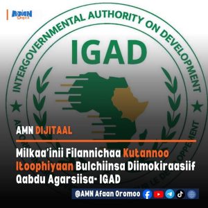 Read more about the article Milkaa’inni filannichaa kutannoo Itoophiyaan bulchiinsa diimokiraasiif qabdu agarsiisa- IGAD