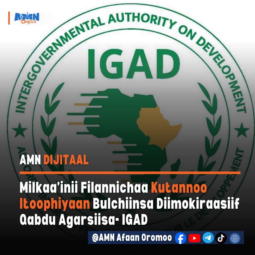 You are currently viewing Milkaa’inni filannichaa kutannoo Itoophiyaan bulchiinsa diimokiraasiif qabdu agarsiisa- IGAD