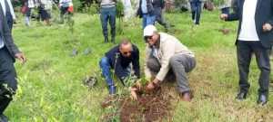 Read more about the article Ashaaraan Magariisaa dameewwan hunda keessatti bu’aa qabatamaa fidaa jira – Taaggasaa Caafoo