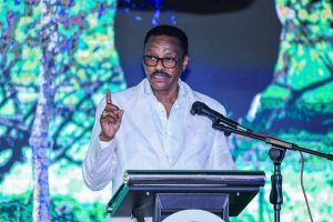 Read more about the article Itoophiyaan biyyoota Afrikaa 10’tti inisheetivii beeksisa turizimii eegalte