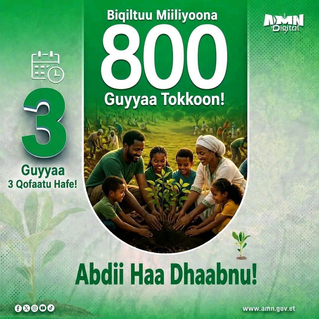 You are currently viewing Beellama aduu tokkoon biqiltuuwwan Miliyoona 800 dhaabuu Itoophiyaanotaa – Wiixata 27/2018