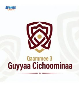 Read more about the article Ibsa Tajaajila Komunikeeshinii Mootummaa!