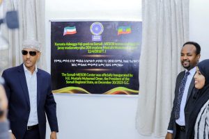 Read more about the article Somali-MESOB oo la isugu keenay adeegyadii muhiimka ahaa ee ku kala firidhsanaa xafiisyada ayaa si rasmi ah loo daah-furay.