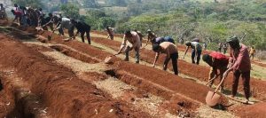 Read more about the article ሃፍትታት ተፈጥሮታትና ብኹሉ መዳይ ምልማዕ ናይ ኹሉ ግዜ ተግባርና ይኹን- ቀዳማይ ሚኒስተር ኣብይ ኣሕመድ (ዶ/ር)