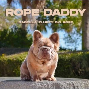 Read more about the article ሚልዮን ዋጋ ከልቢ