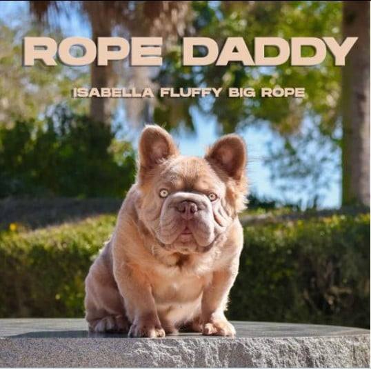 Read more about the article ሚልዮን ዋጋ ከልቢ