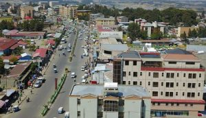 Read more about the article የደብረ ብርሃን ከተማ 24 ቢሊየን ብር ካፒታል ላስመዘገቡ አልሚዎች ፈቃድ ሰጠ