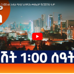 Read more about the article “ውሎ አዲስ” የምሽት 1፡00 ዜና አዲስ ሚዲያ ኔትዎርክ መስከረም 9/2016 ዓ.ም