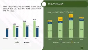 Read more about the article ባለፉት 4 አመታት የወጪ ንግድ ዘርፉ በአማካይ 7 በመቶ እድገት ማሳየቱ ተገለፀ