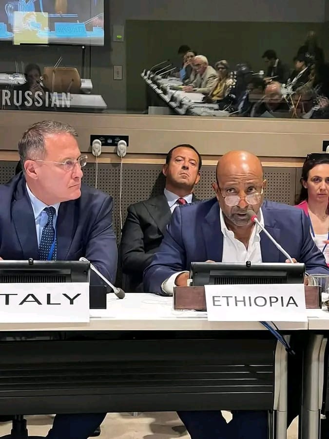 You are currently viewing የትምህርትን መሰረተ ልማት ማሻሻል የቀጣዩን ትውልድ የወደፊት እድል ማሻሻል ነው፡- ፕሮፌሰር ብርሃኑ ነጋ