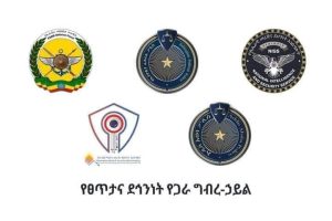 Read more about the article በአዲስ አበባ መስቀል አደባባይ የተከበረው የሰራዊት ቀን በሠላም መጠናቀቁን የፀጥታና ደህንነት የጋራ ግብረ ኃይል አስታወቀ።