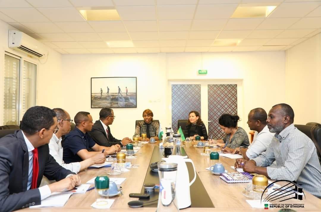 Read more about the article በጂቡቲ ሰነድ አልባ ሆነው የሚኖሩ ዜጎች