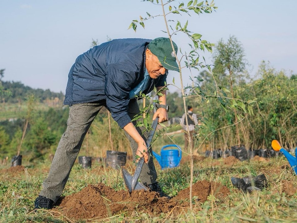 Read more about the article ኢትዮጵያን አረንጓዴ ምድር እናደርጋታለን:-ምክትል ጠቅላይ ሚኒስትር ተመስገን ጥሩነህ