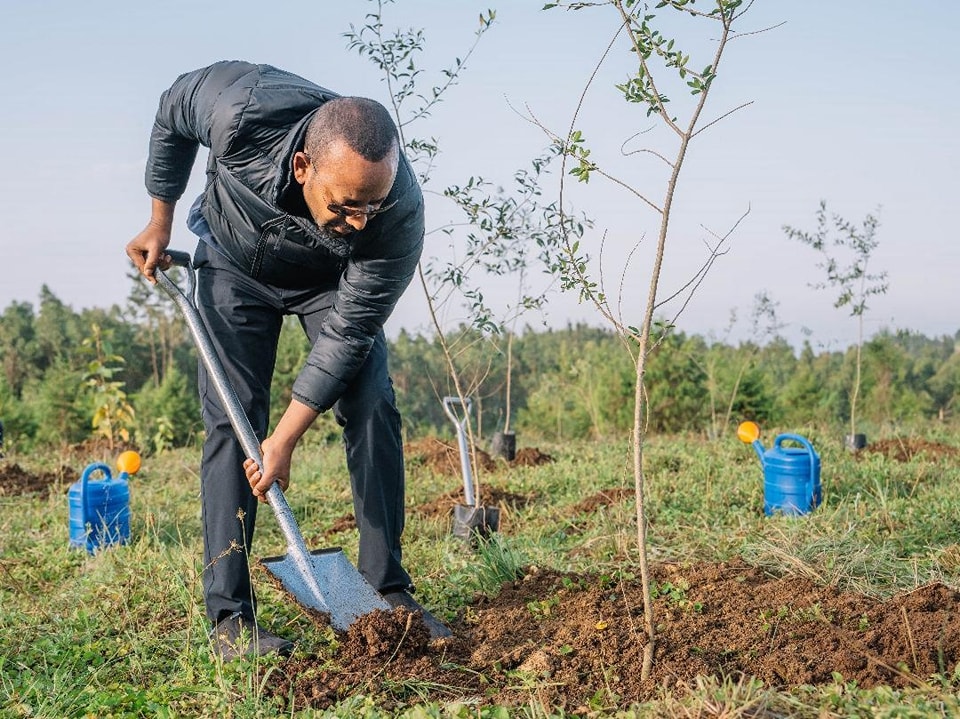Read more about the article የዘንድሮ የአረንጓዴ ዓሻራ ተካፋይ እንድትሆኑ ጥርዬን አቀርባለሁ:- ጠቅላይ ሚኒስትር ዐቢይ አሕመድ (ዶ/ር)