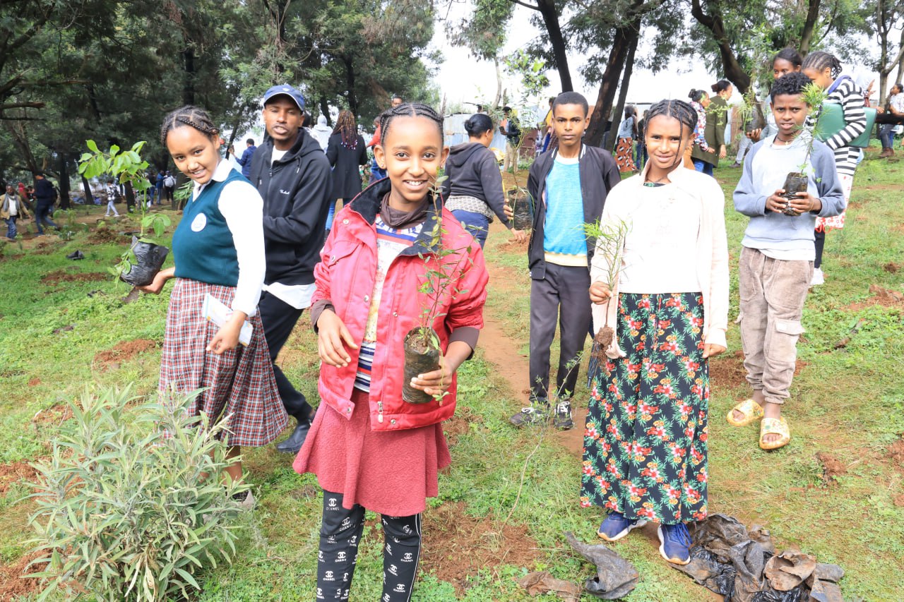 Read more about the article የክረምት መክረሚያዎች
