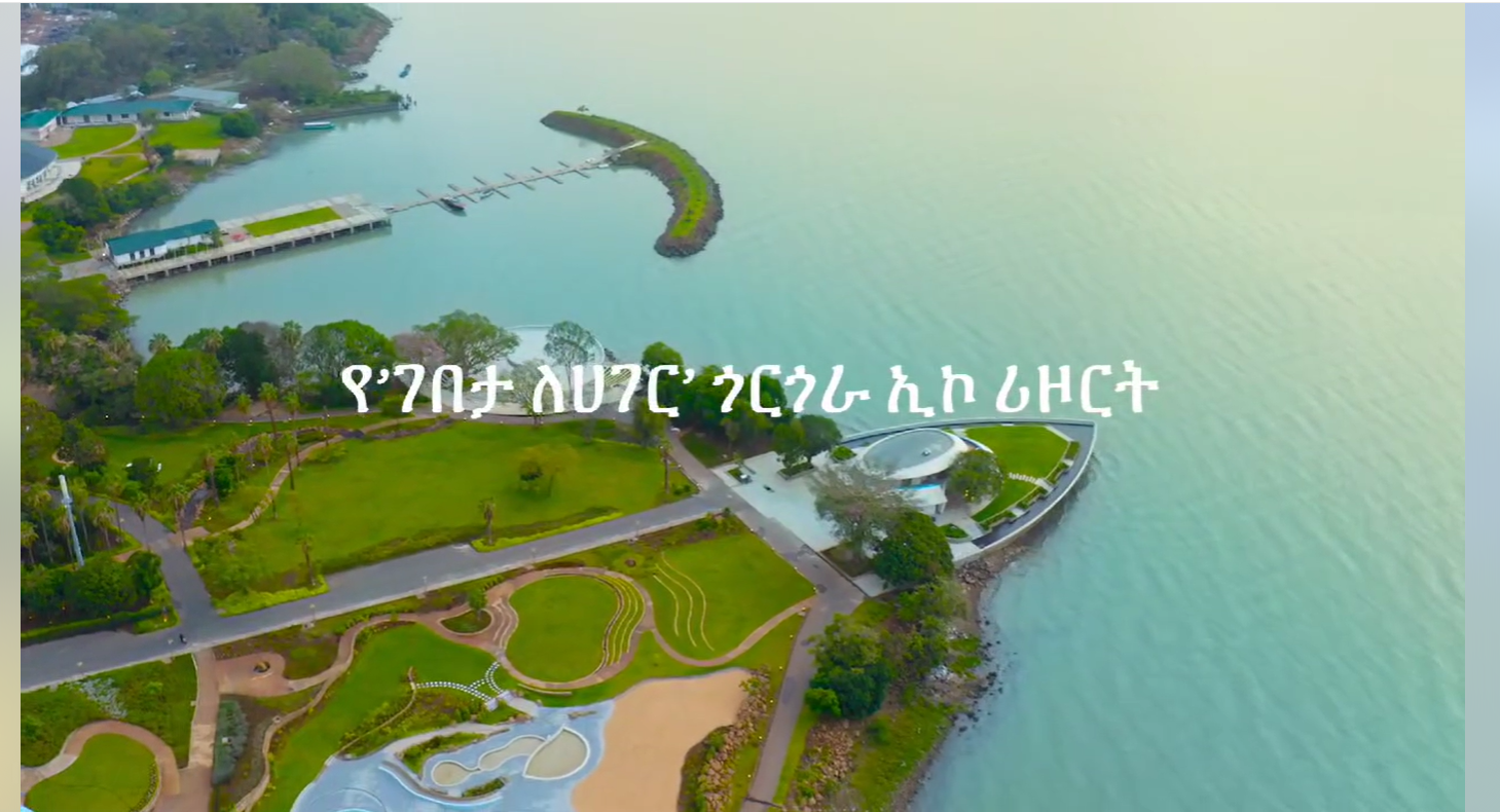 Read more about the article ጎርጎራ