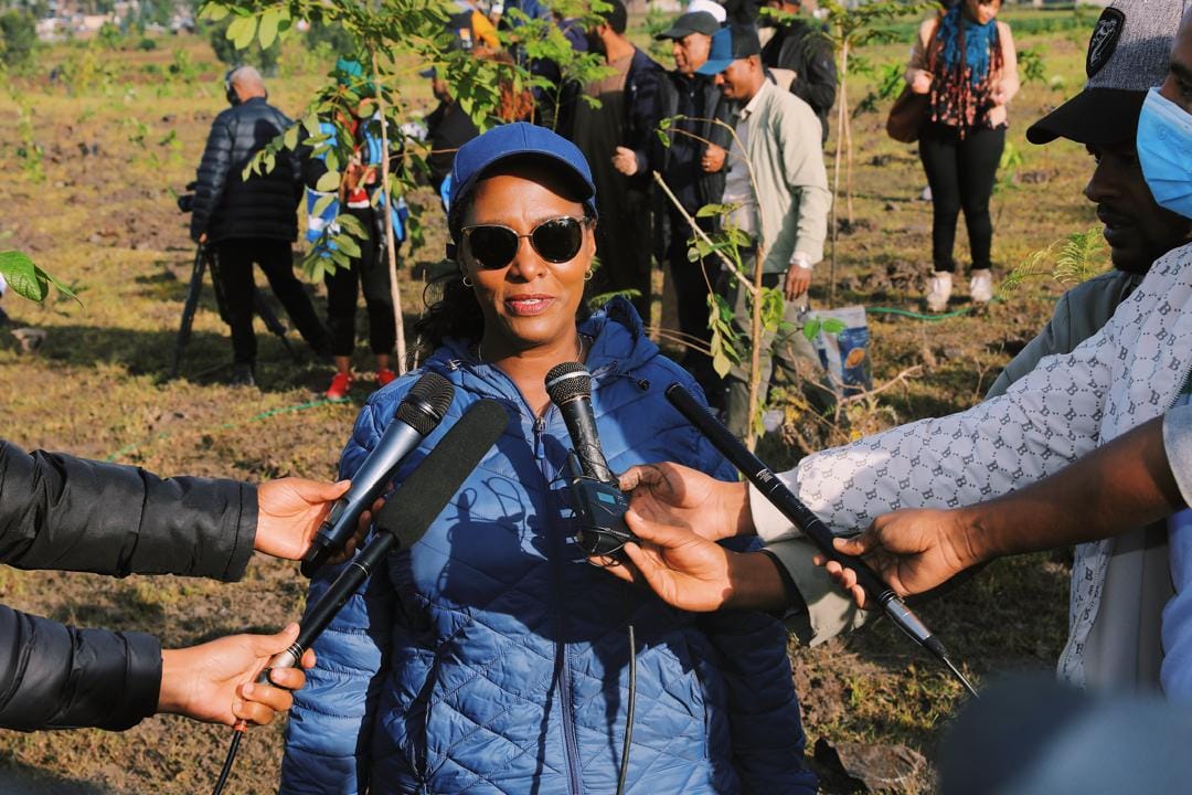 Read more about the article የከተማችን ሕዝብ ያደረግነውን ጥሪ ተቀብሎ በማለዳ በነቂስ ወጥቶ በተከላው ላይ እየተሳተፈ ይገኛል፦ ከንቲባ አዳነች አቤቤ