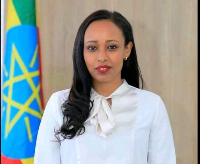 Read more about the article “ኢትዮጵያ ካላት የተፈጥሮ ሃብት፣ የሰው ኃይል እና የመፈጸም አቅም አንጻር ፈጣን እድገት ታስመዘግባለች”:- ፍፁም አሰፋ (ዶ/ር)