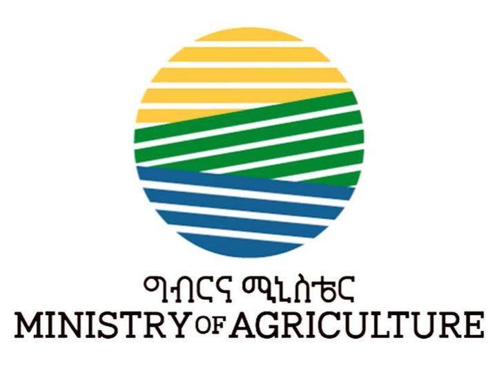 Read more about the article የግብርና እና ገጠር ልማት ፖሊሲ ትውውቅ መርሃ ግብር በመካሄድ ላይ ይገኛል