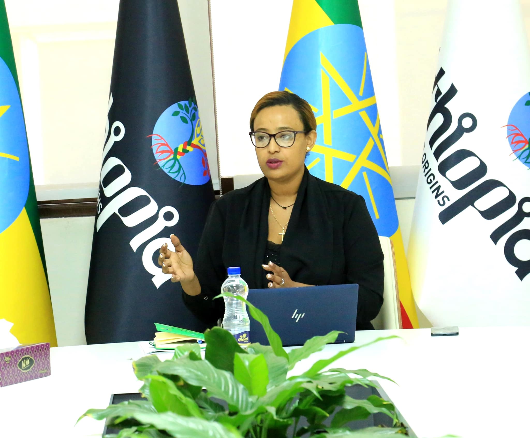 Read more about the article የሆስፒታሊቲ ኢንዱስትሪው ዓለም አቀፍ ደረጃውን የጠበቀ እንዲሆን መንግስት አስቻይ የሆኑ የማበረታቻ ስልቶችን ዘርግቷል- የቱሪዝም ሚኒስቴር