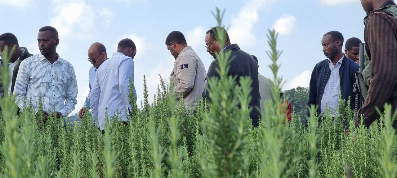 Read more about the article የኦሮሚያ ክልል ፕሬዝደንት ሽመልስ አብዲሳ በጂማ ዞን የተለያዩ የልማት እንቅስቃሴዎችን እየጎበኙ ነው