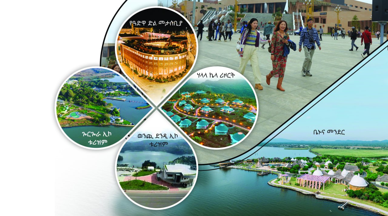 Read more about the article አዲስ እይታ የወለዳቸው የኢኮኖሚው አቅሞች