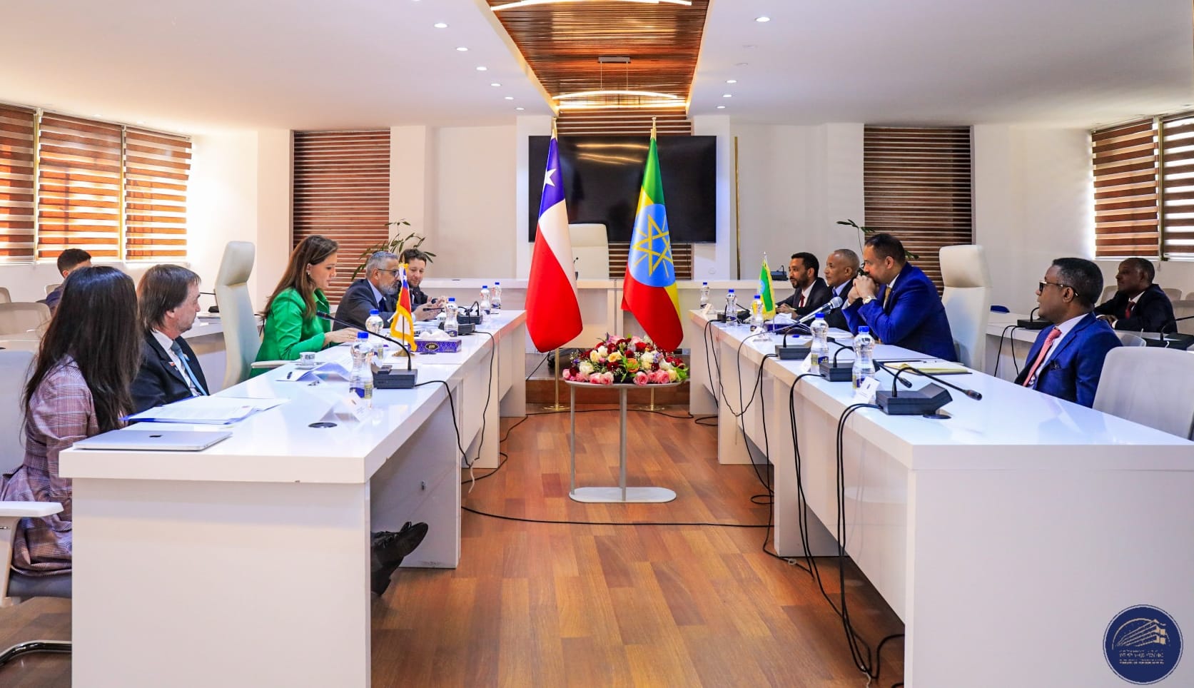 Read more about the article ቺሊ ኢትዮጵያን ከሁለትዮሽ ግንኙነት ባሻገር በአፍሪካ ለምታደርገው እንቅስቃሴ ቁልፍ አጋር ማድረግ እንደምትፈልግ ገለጸች