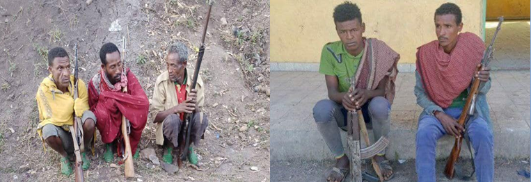 Read more about the article የኮማንዶና አየር ወለድ ዕዝ ክፍለ ጦር ባደረጋቸው ዘመቻዎች በፅንፈኛዉ ቡድን ላይ ከባድ ጉዳት መድረሱ ተገለፀ