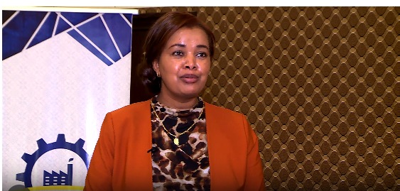 Read more about the article የማክሮ ኢኮኖሚ ማሻሻያው የአምራች ኢንዱስትሪውን ተሳትፎ በማሳደግ ለዘላቂ ኢኮኖሚያዊ ዕድገት መሰረት የጣለ ነው- የኢትዮጵያ ልማት ባንክ