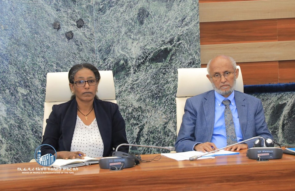 Read more about the article ምክር ቤቱ የኤሌክትሪክ አገልግሎትን የተሻለ ተደራሽ ለማድረግ አሰራሮችን ማዘመን እንደሚገባ አስገነዘበ
