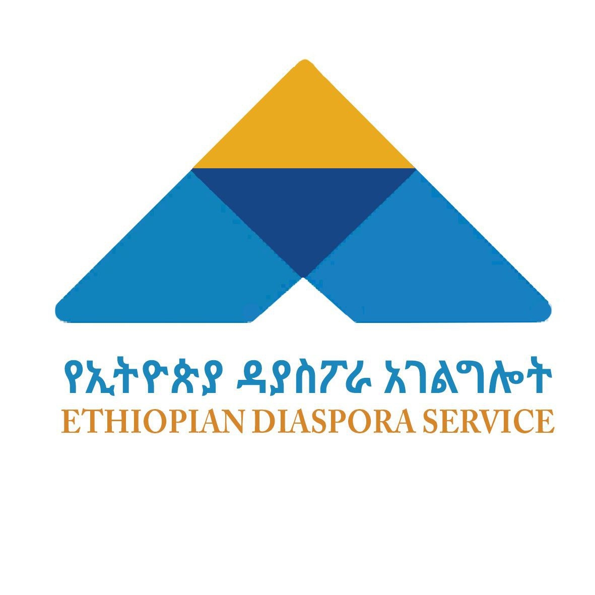 Read more about the article በውጭ ሀገራት ከሚገኙ ኢትዮጵያውያን እና ትውልደ ኢትዮጵያውያን ጠቃሚ ግብዓቶችን ማሰባሰብ ተችሏል-የኢትዮጵያ ሀገራዊ ምክክር ኮሚሽን