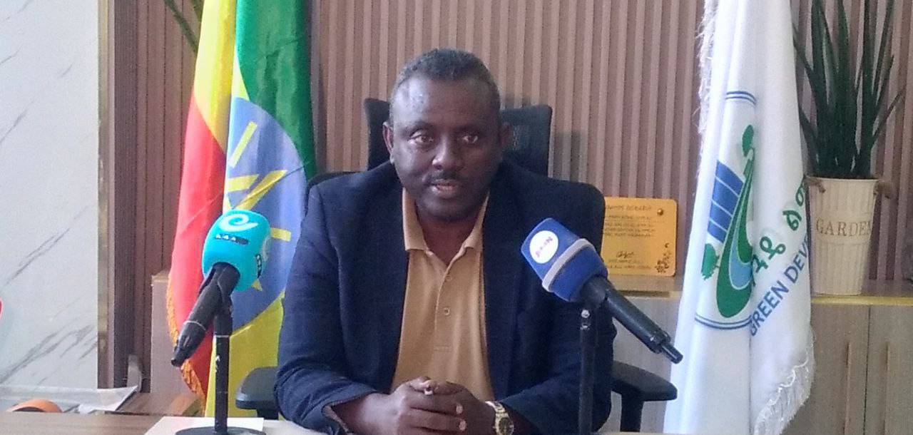 Read more about the article በከተራ እና በጥምቀት በዓላት አከባበር ወቅት በከተማዋ የለሙ አረንጓዴ ቦታዎች ላይ ጉዳት እንዳይደርስባቸው ጥንቃቄ እንዲደረግ ጥሪ ቀረበ