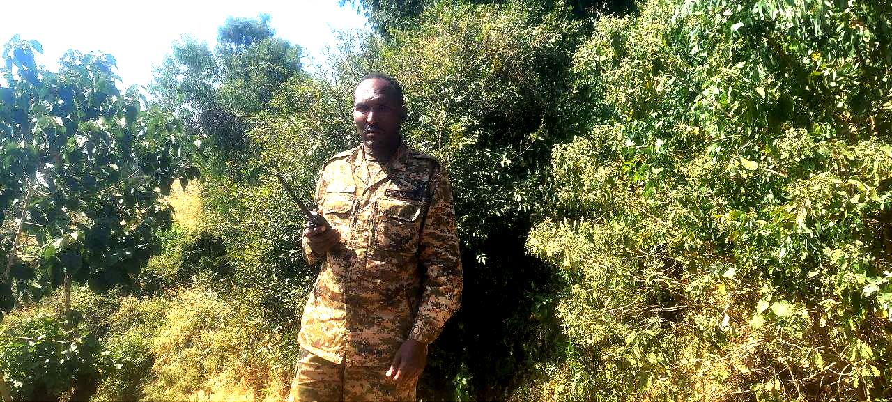 Read more about the article የምዕራብ ዕዝ አብዲሳ አጋ ክፍለጦር በፅንፈኛ ቡድኑ ላይ የማያዳግም እርምጃ ወሰደ